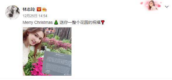 女生版小苹果动画片:林志玲重游婚礼现场，幸福甜笑称积极备孕，曾坦言老公愿不要小孩