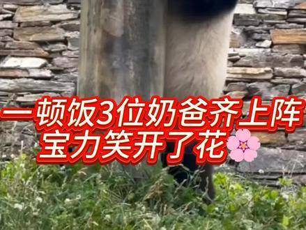 泽鑫宝客户端广州鑫宝软件科技有限公司官网